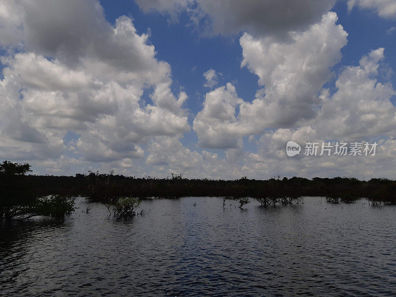 亚马逊地区- TAPAJOS - PARA